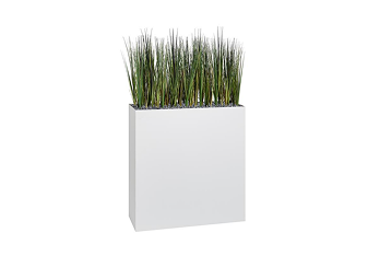 Plante d'intérieur Palermo, une touche de verdure élégante et naturelle pour dynamiser votre espace de travail ou de vie avec son design moderne et épuré.