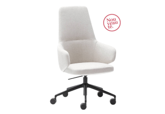 Siège de bureau Design Swivel, offrant une assise confortable et un design moderne avec une fonctionnalité pivotante, parfait pour améliorer la mobilité et le confort au travail.