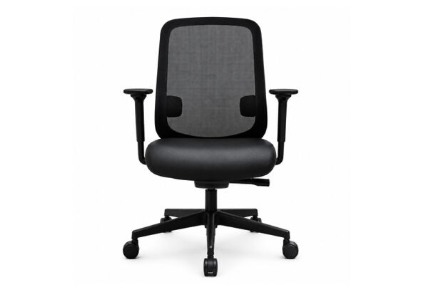 fauteuil ergonomique YULI, soutien lombaire 2D